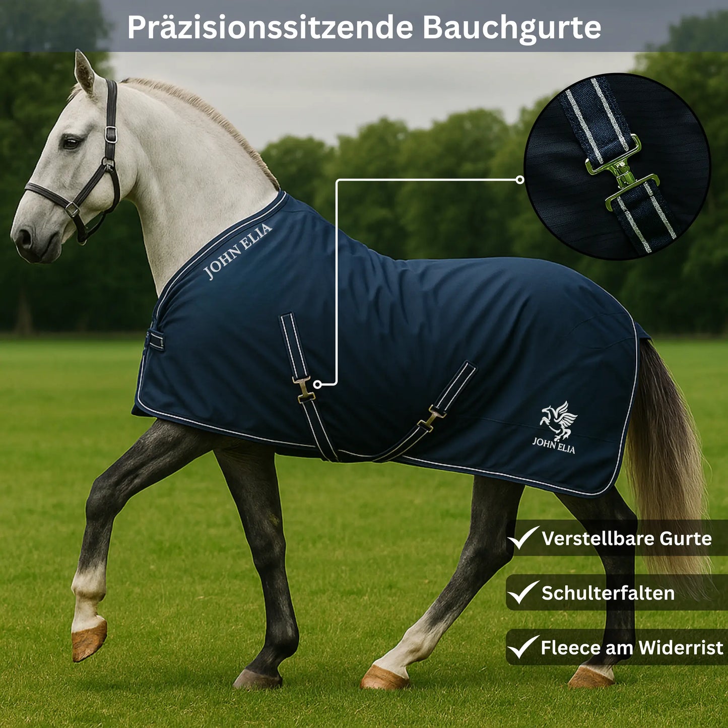 Horse wearing a blue rug with John Elia branding on a grassy field