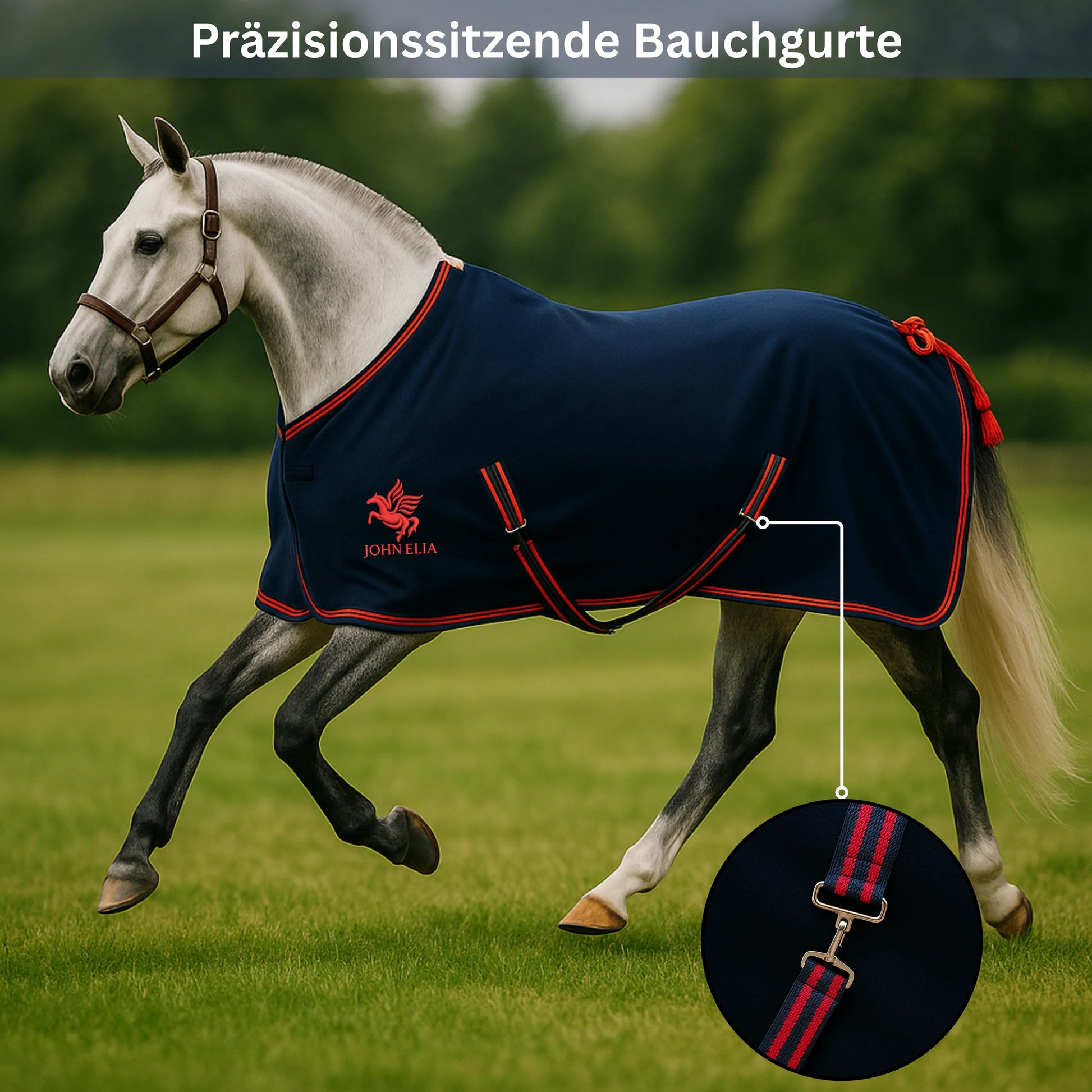 Horse wearing a navy blue rug with red trim on a grassy field