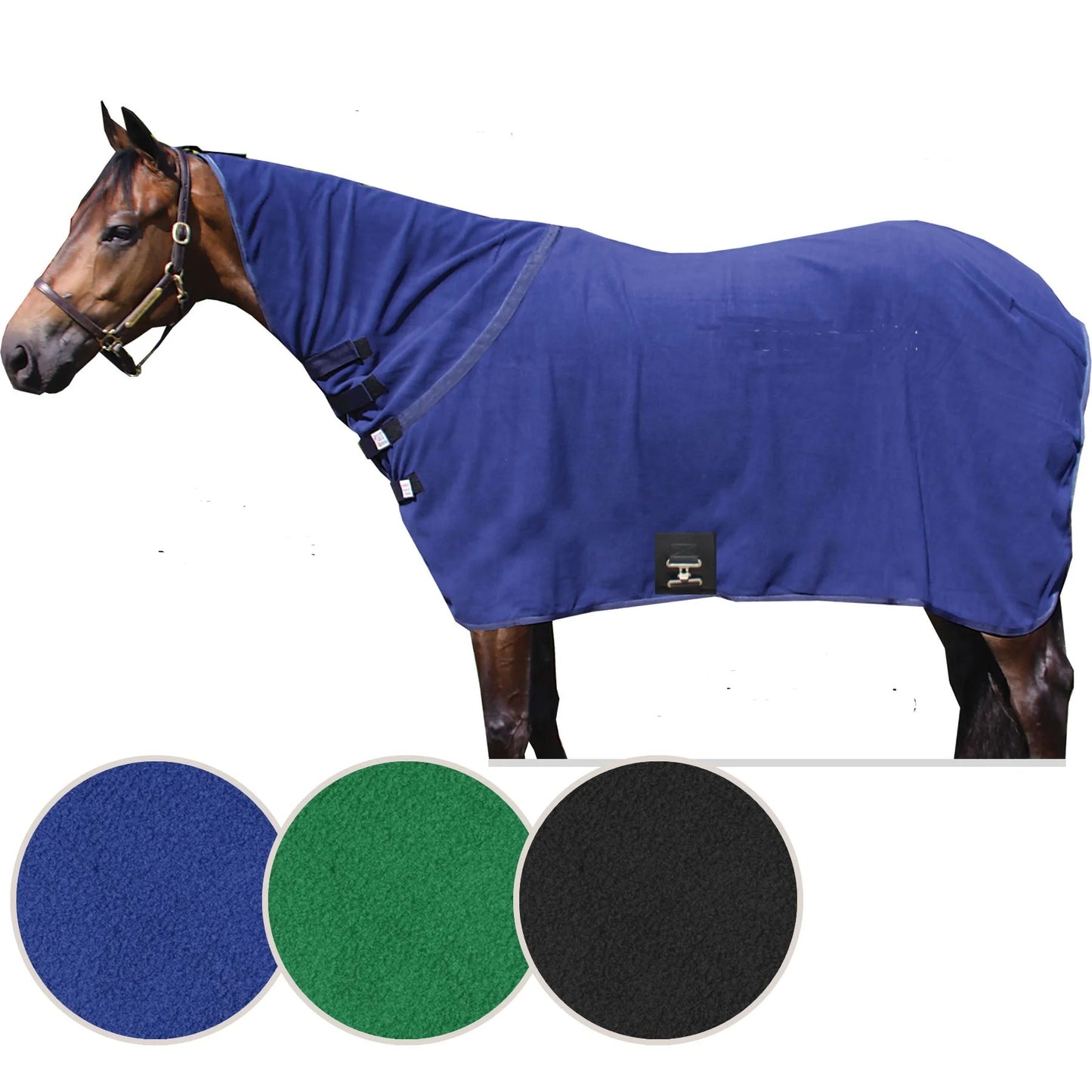 Horse wearing a blue blanket with three color swatches below on a white background