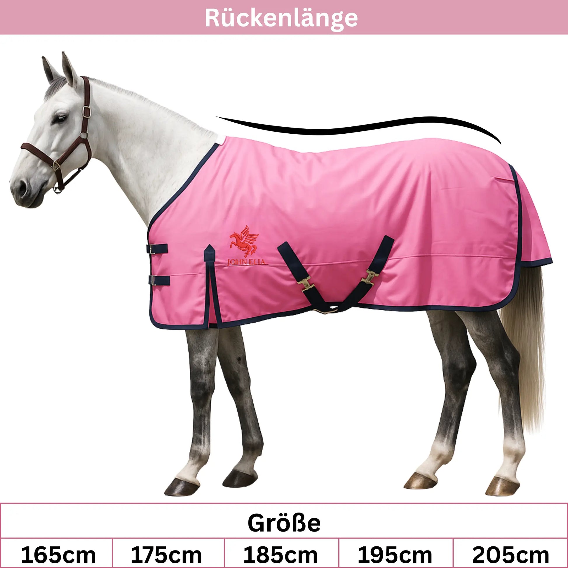 Horse wearing a pink rug with a brand logo on a white background
