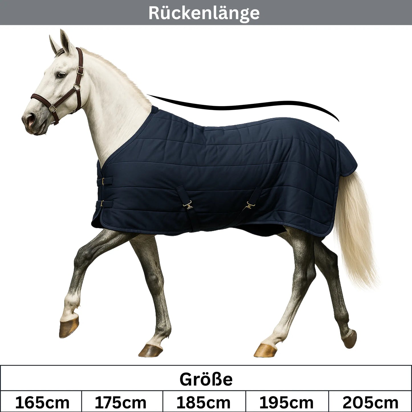 Horse wearing a dark blue rug with measurements displayed below.